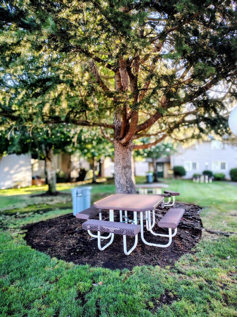 SALEM Apartment: 3211-3342 AUTUMN CHASE NE