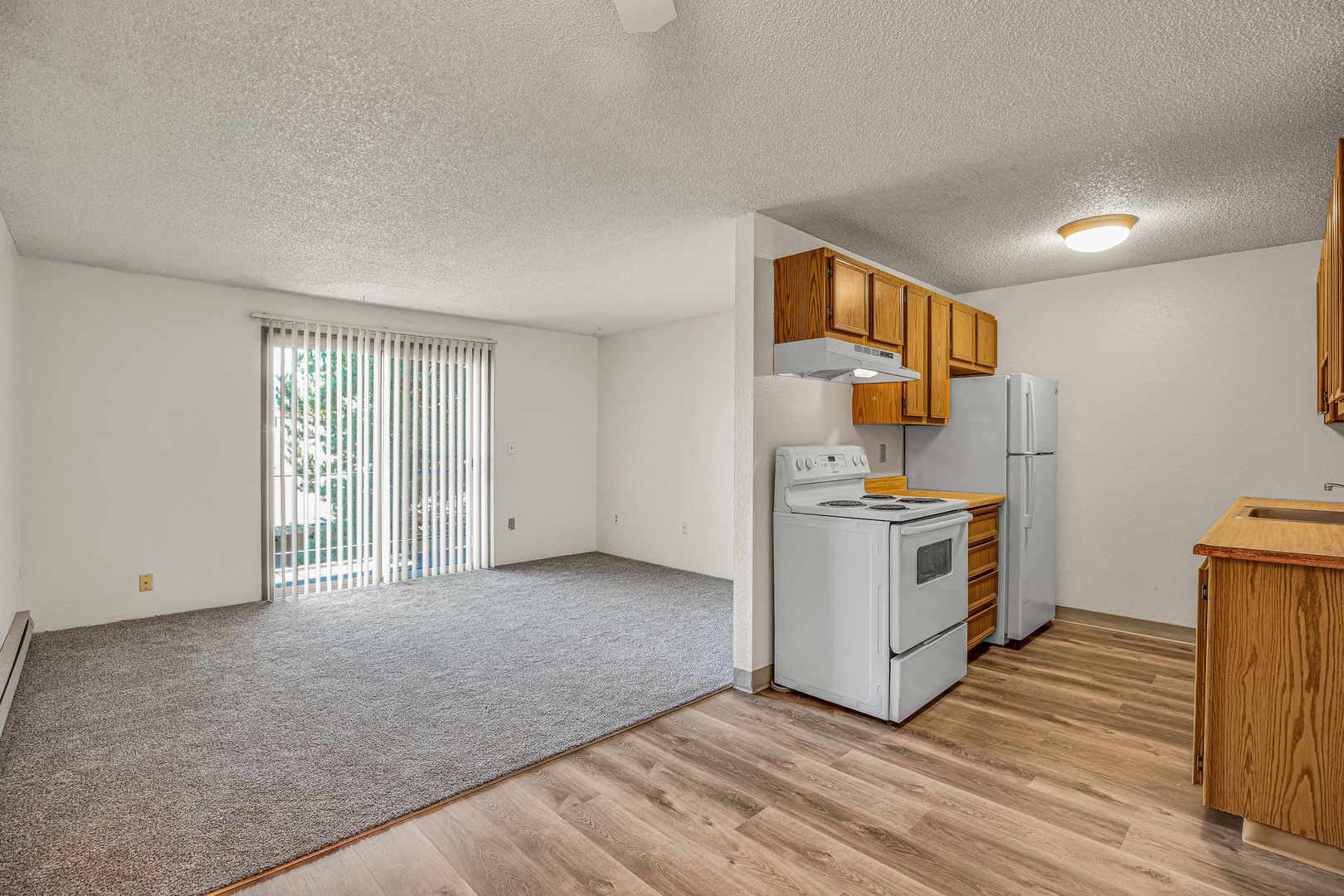 CORNELIUS Apartment: 267 N. 10TH