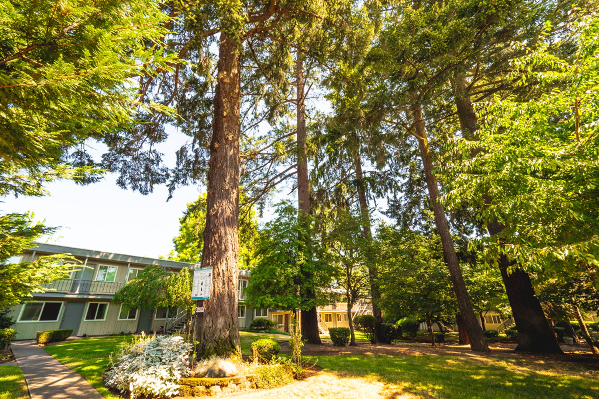 #276 MISTY FIRS APARTMENTS 5 of 12
