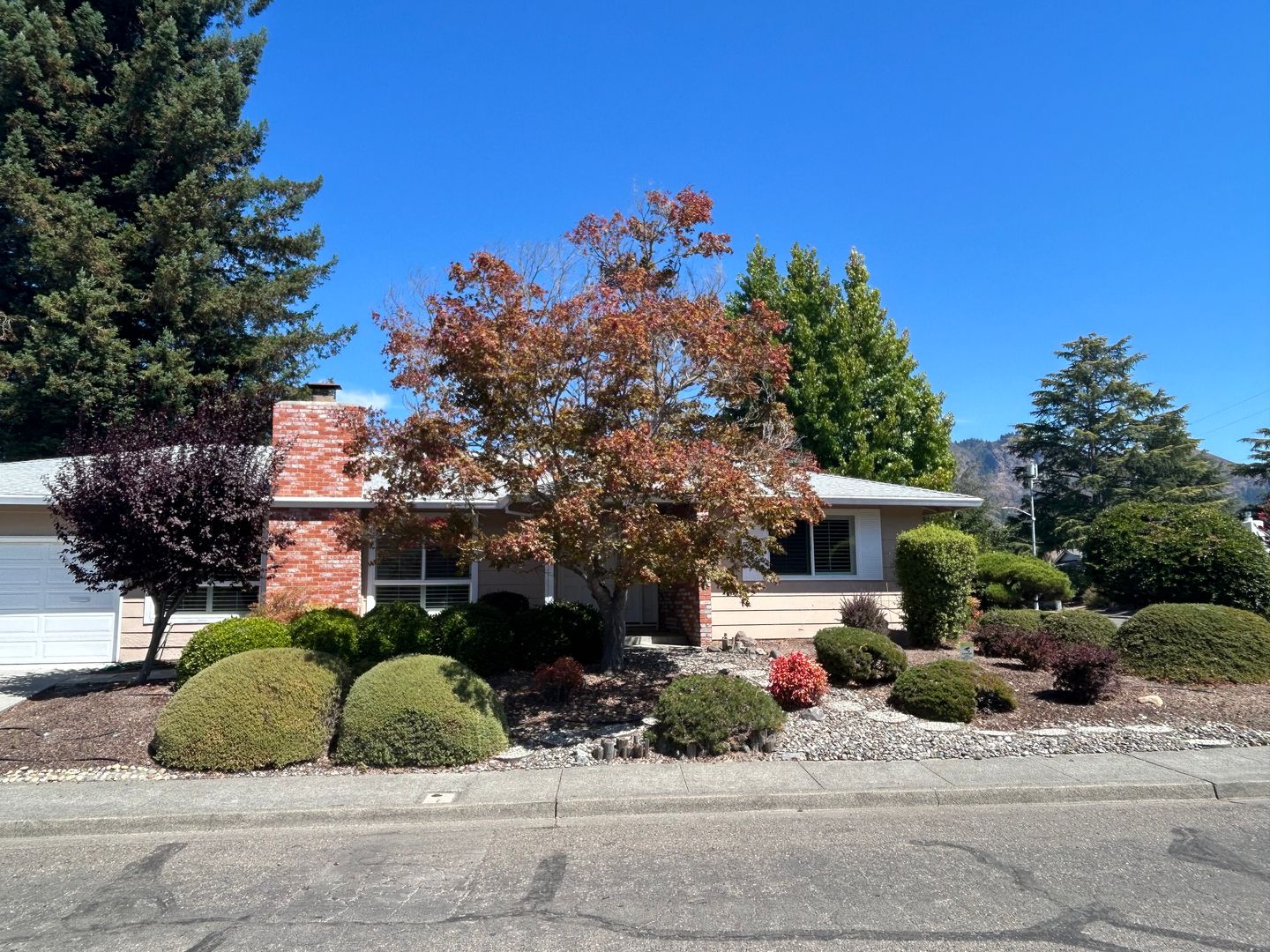 Santa Rosa House: 245 Mockingbird Circle