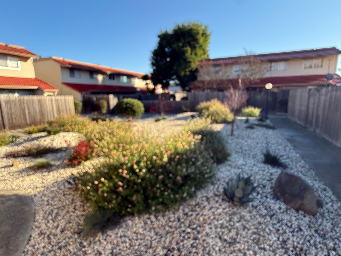 Rohnert Park Townhome: 79 Avram Dr