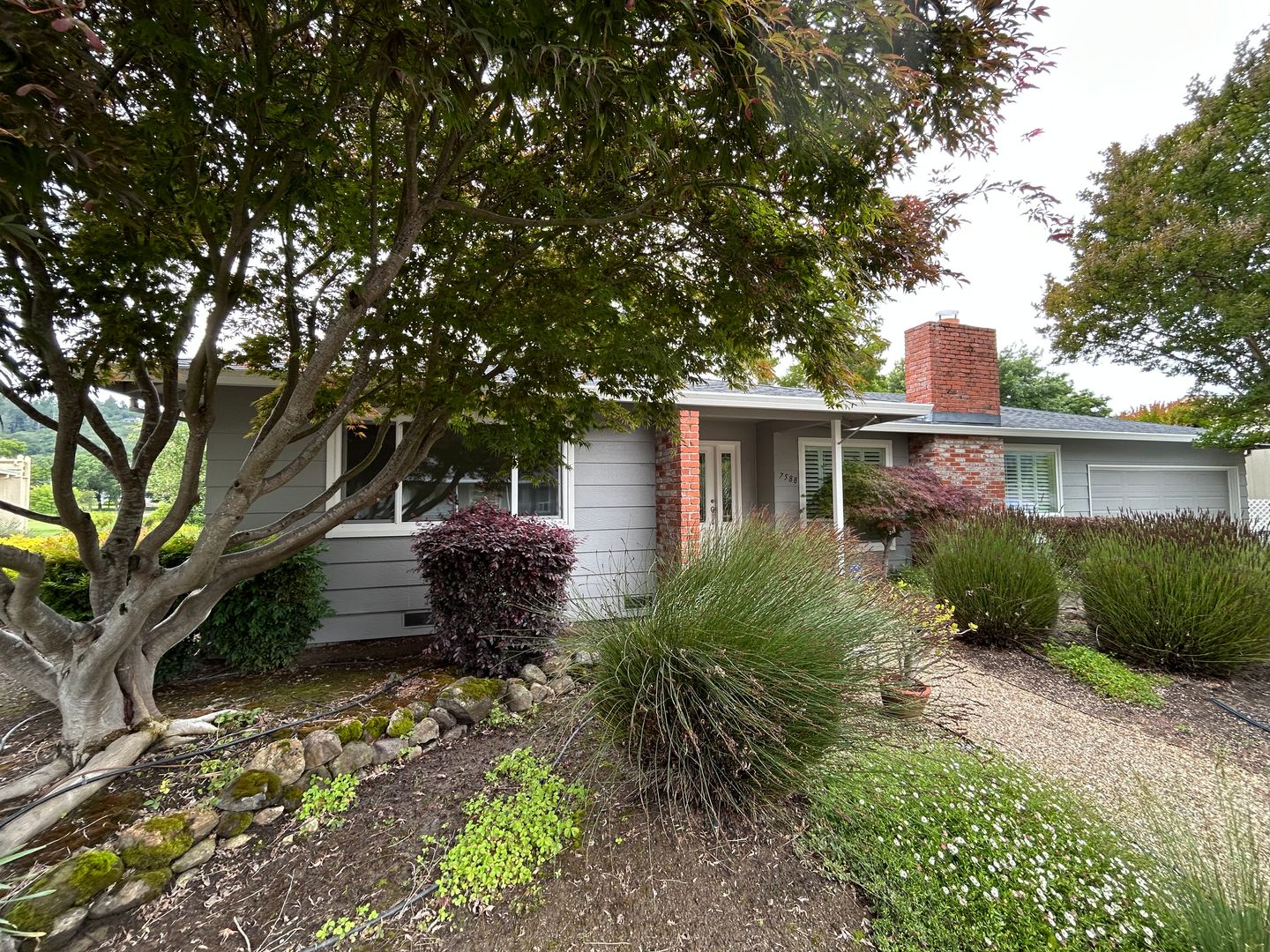 Santa Rosa House: 7588 Oak Leaf Drive