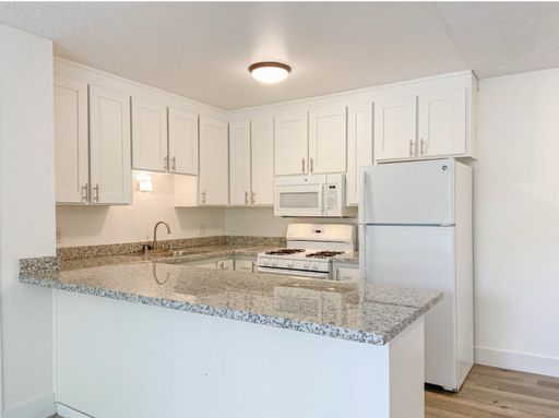 Fully upgraded 1bdr 1 bath apartment – photo 1