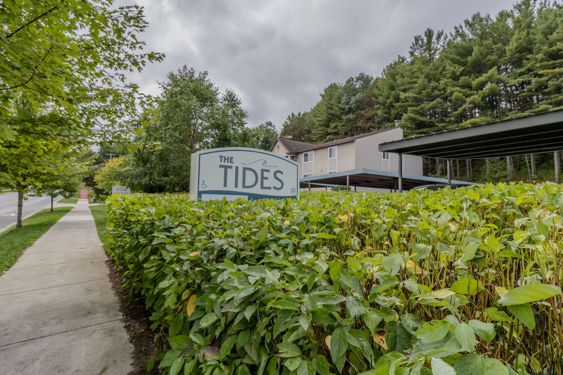 Traverse City Apartment: The Tides