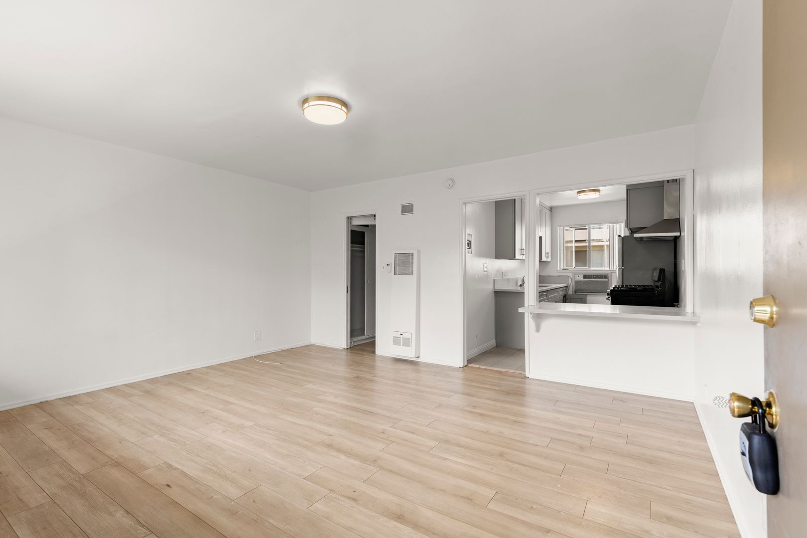 Los Angeles Apartment: 501 South Kingsley Drive