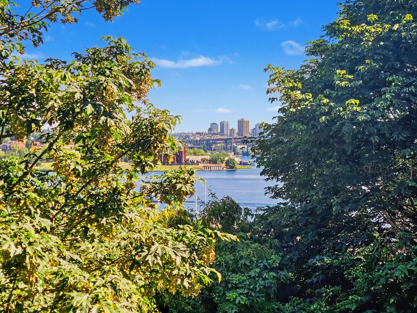 Seattle Apartment: 2040 8th Ave N
