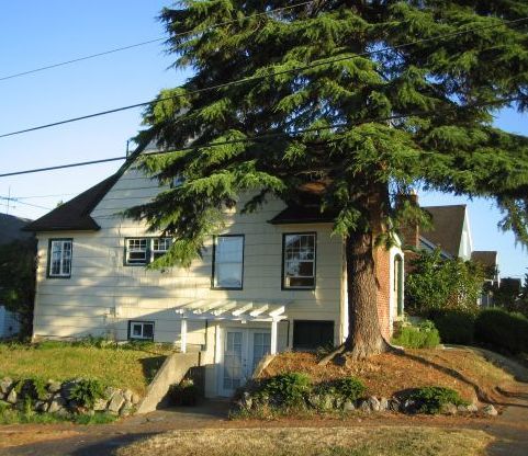 Seattle Apartment: 8116 Linden Ave N