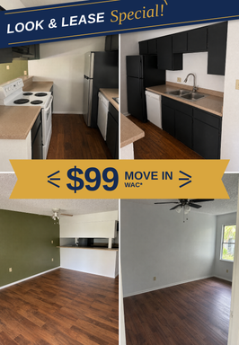 1BR/1BA | Newly Renovated Unit | 1-Open Garage Parking | In Austin! – photo 1