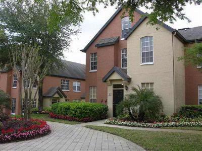 Orlando Condo: 6420 Raleigh St. - #3213