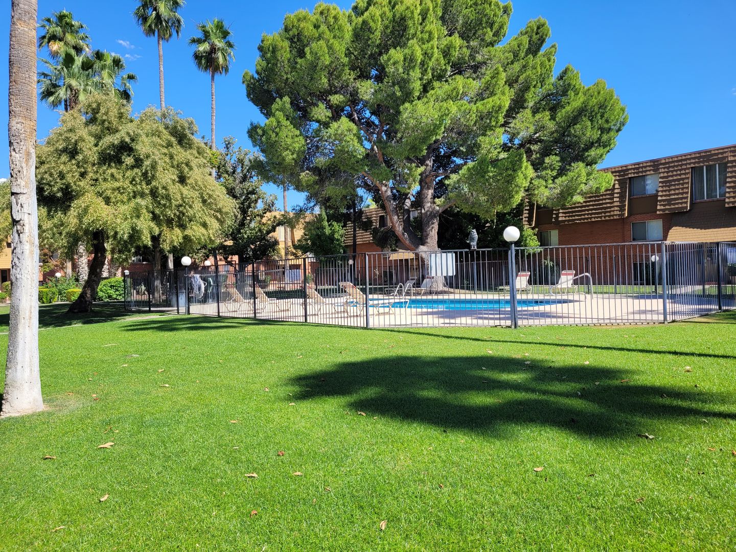 TUCSON Apartment: 6160 E BELLEVUE ST