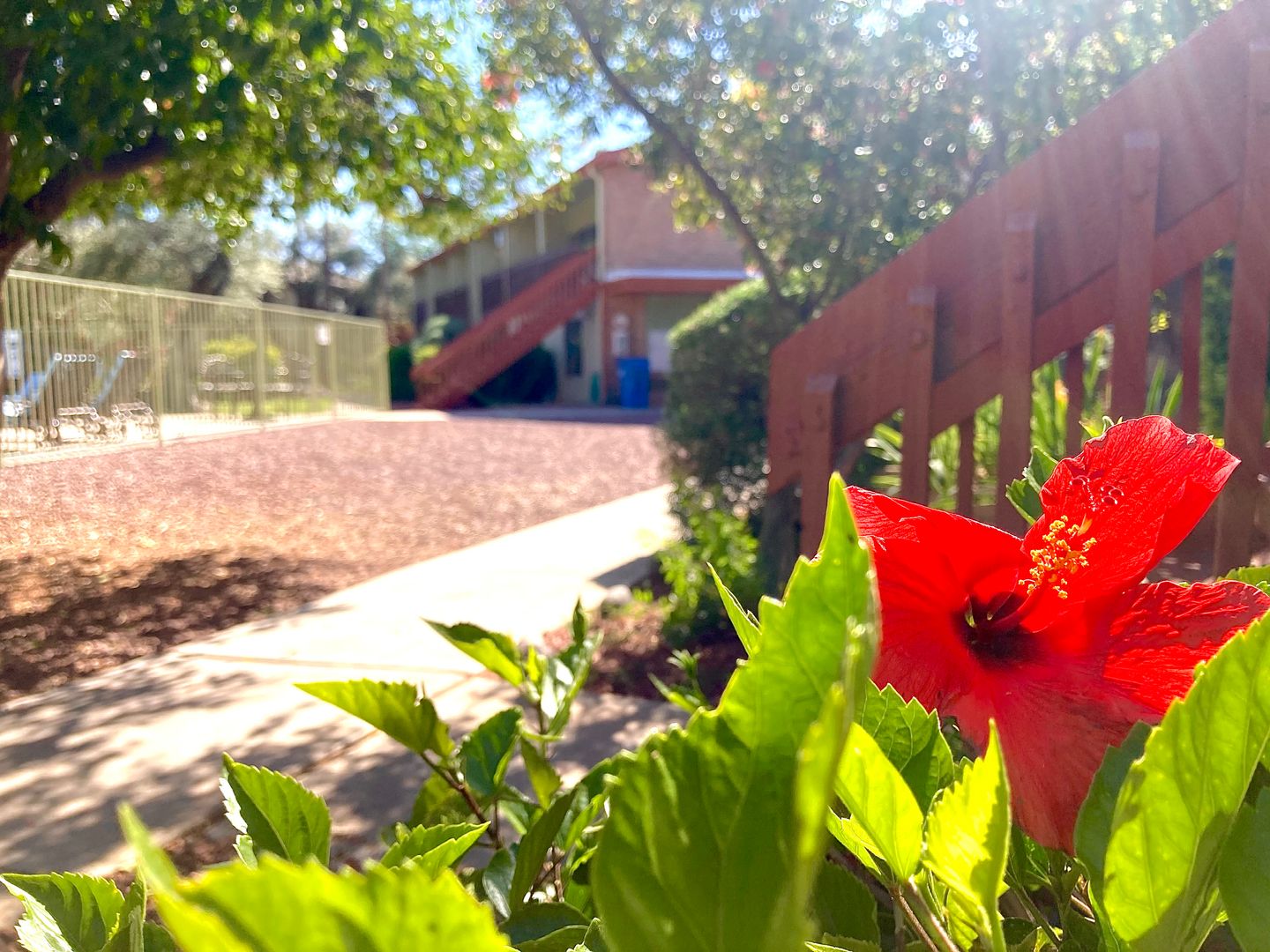 TUCSON Apartment: 5666 E HAMPTON ST