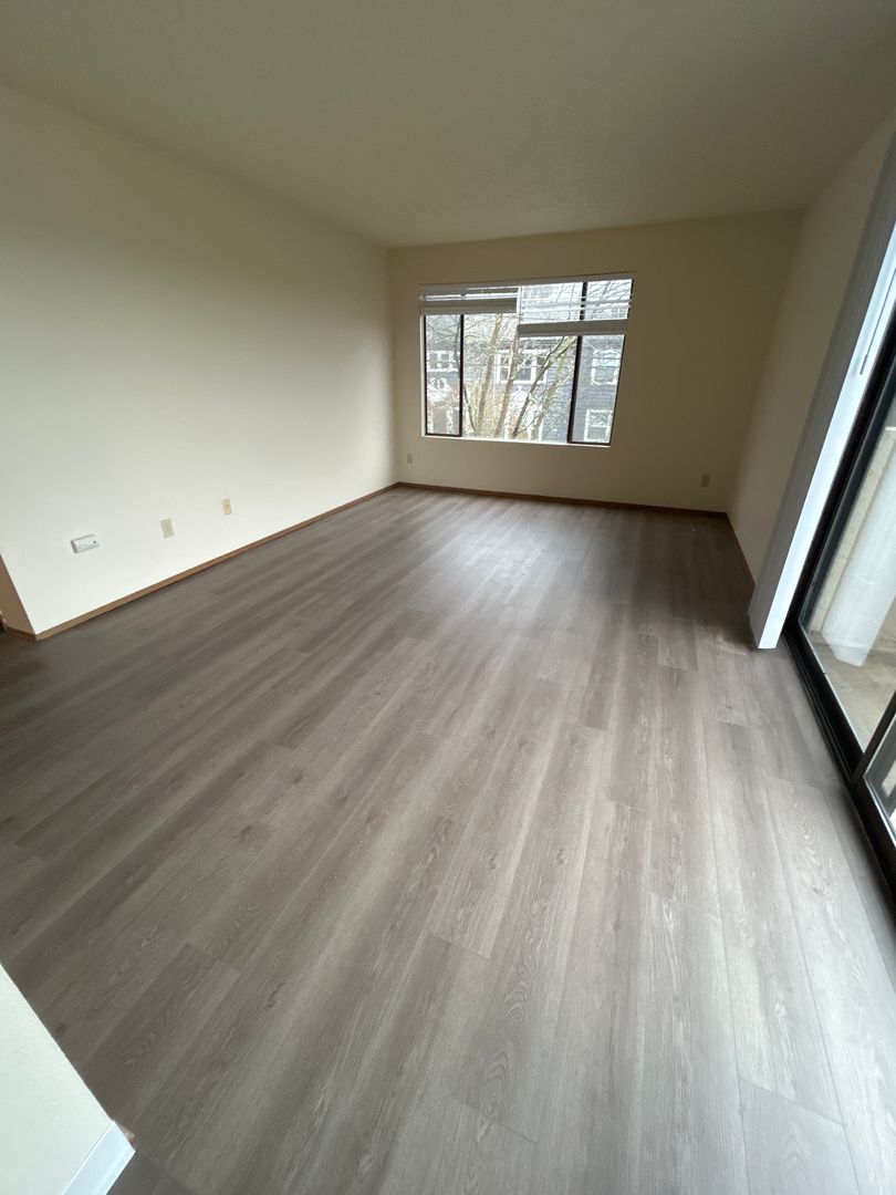 Seattle Apartment: 5505 15th Ave. NE
