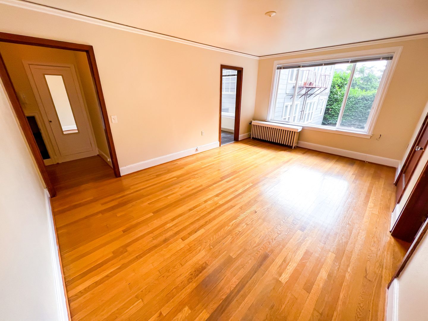 Seattle Apartment: 531 Malden Ave. E.