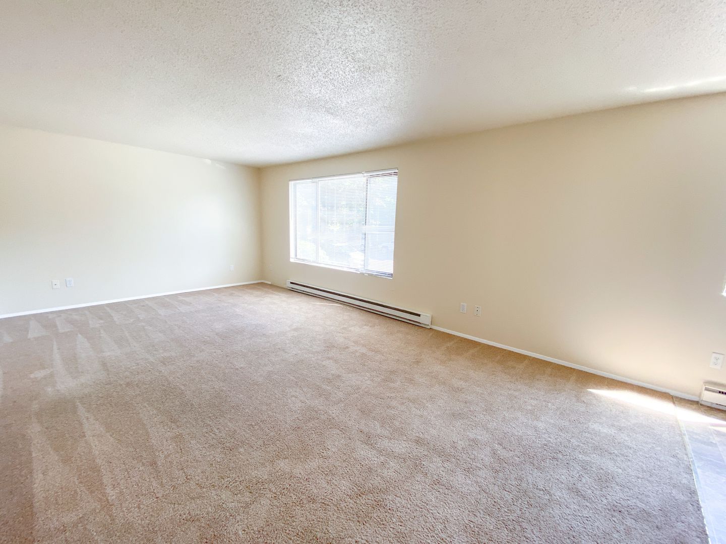 Seattle Apartment: 1727 14th Ave.