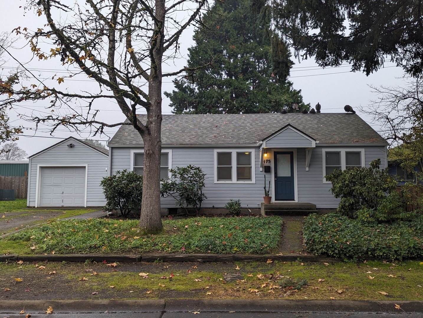 Eugene House: 175 Ash St