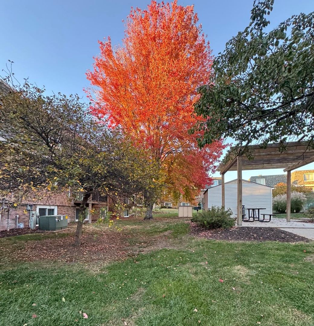 Townhome Available! 5 of 12