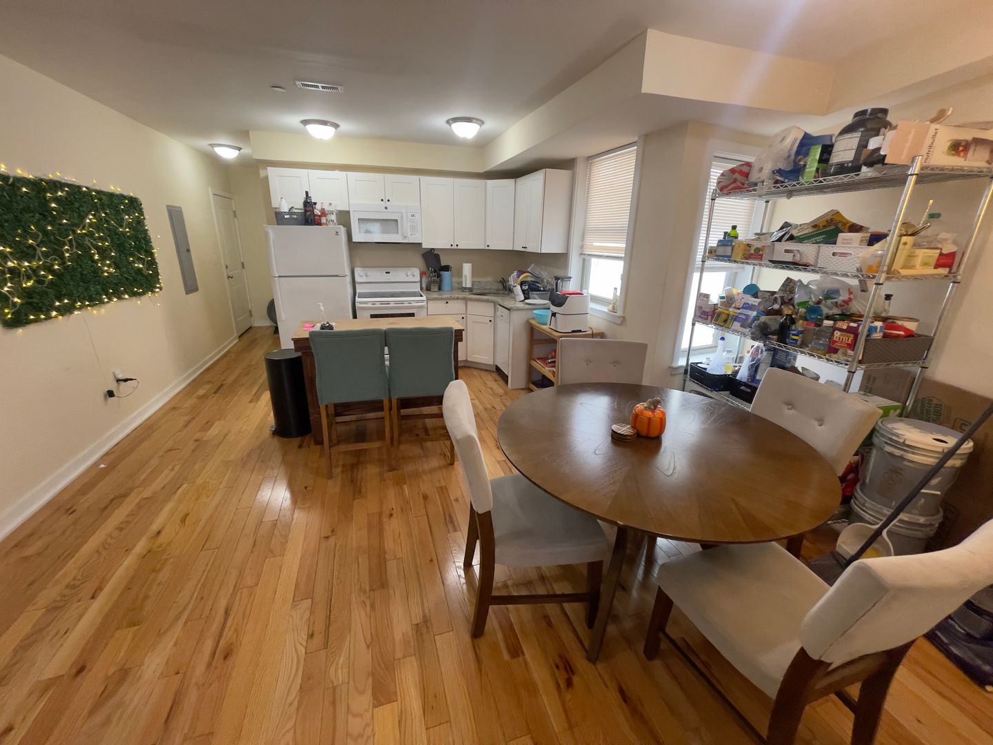 Philadelphia Apartment: 4442 Cresson St.