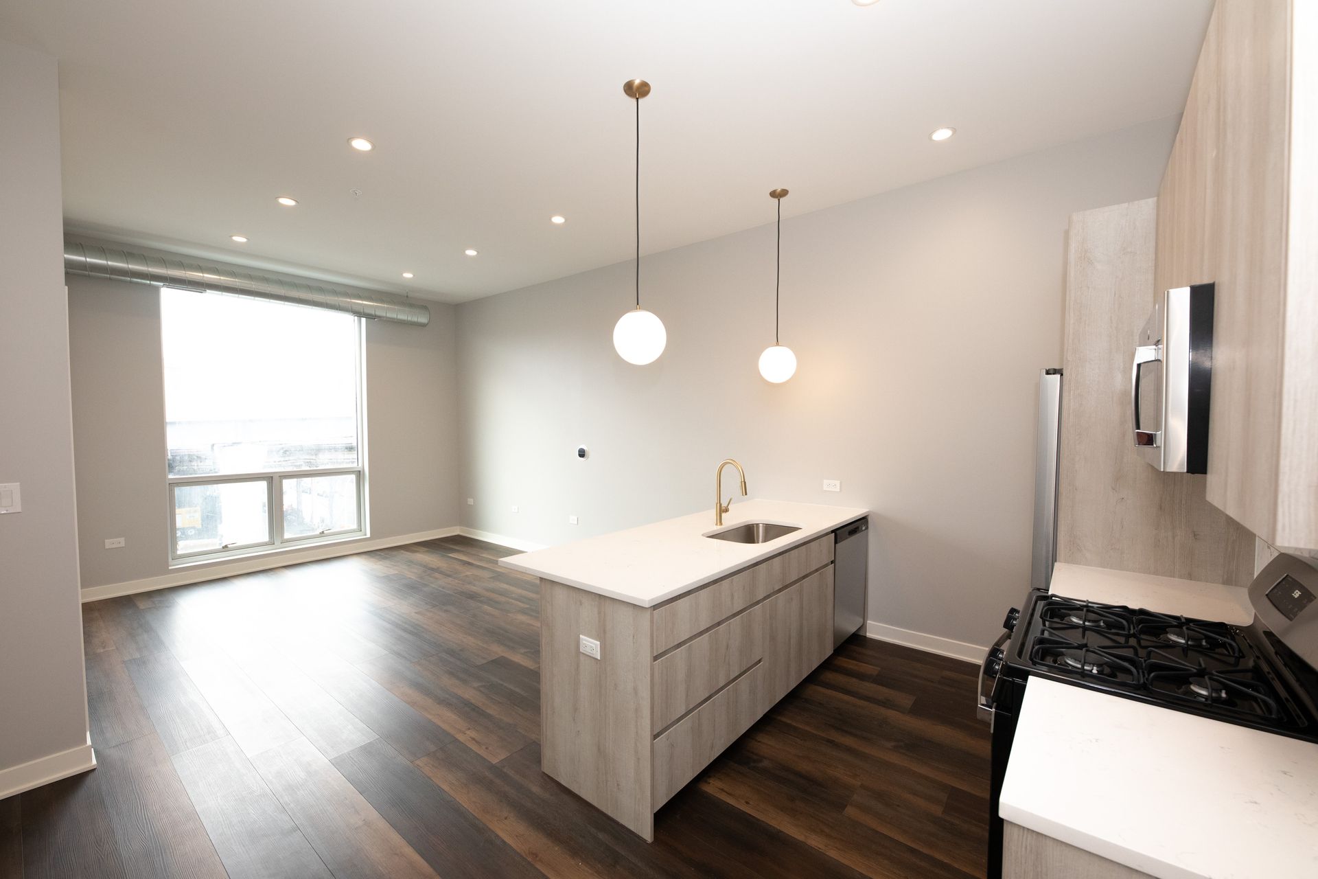 Chicago Apartment: 913 W School St