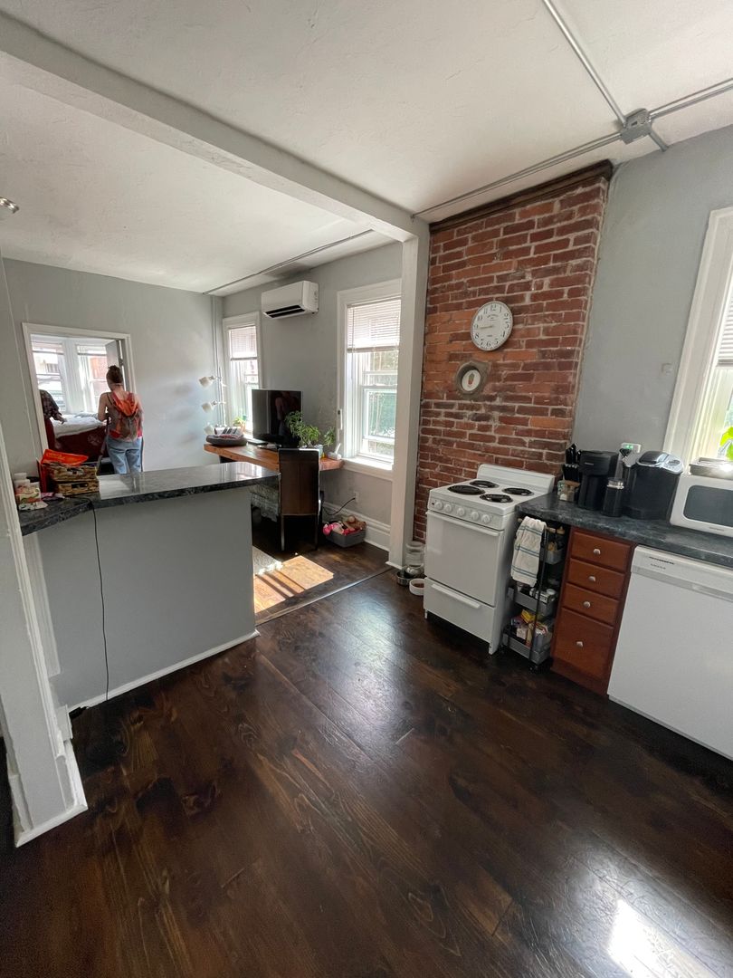 Pittsburgh Apartment: 225 South Millvale Avenue