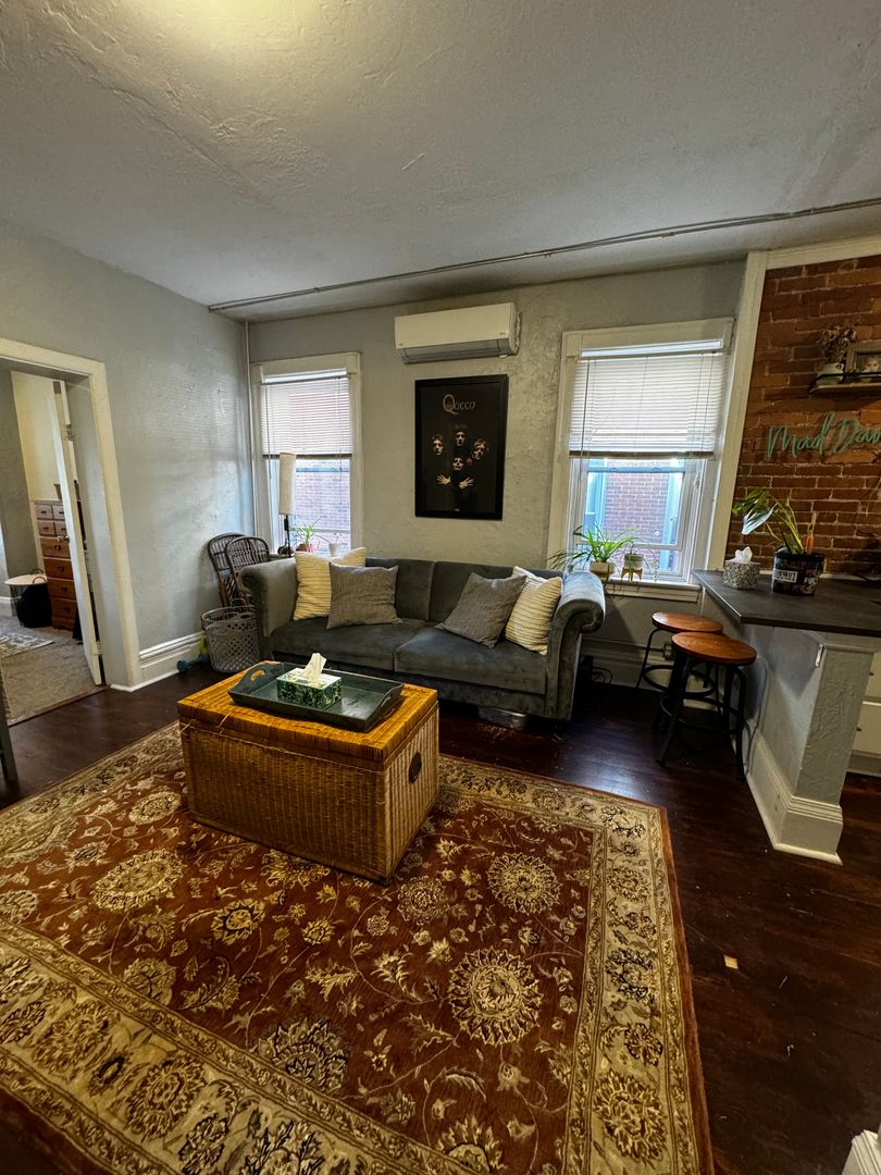 Pittsburgh Apartment: 225 South Millvale Avenue