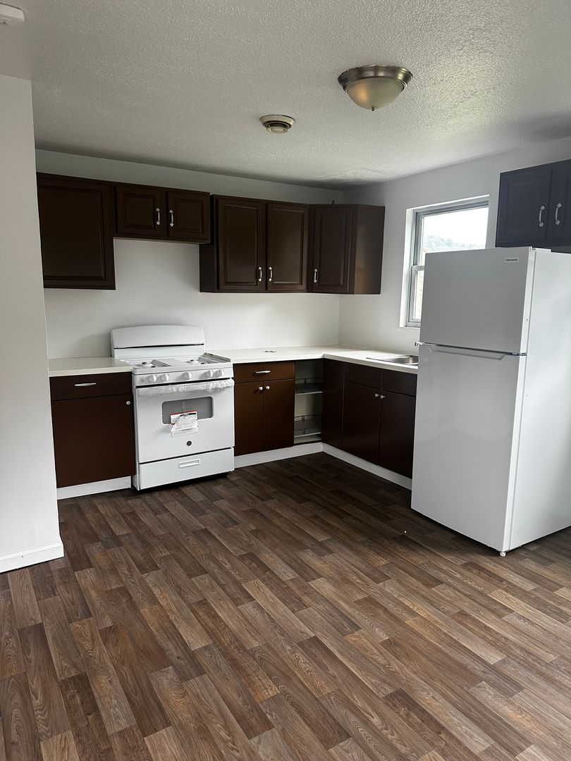 Coal Center Apartment: 131 Spring Street