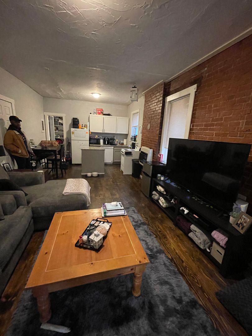 Pittsburgh Apartment: 225 South Millvale Avenue