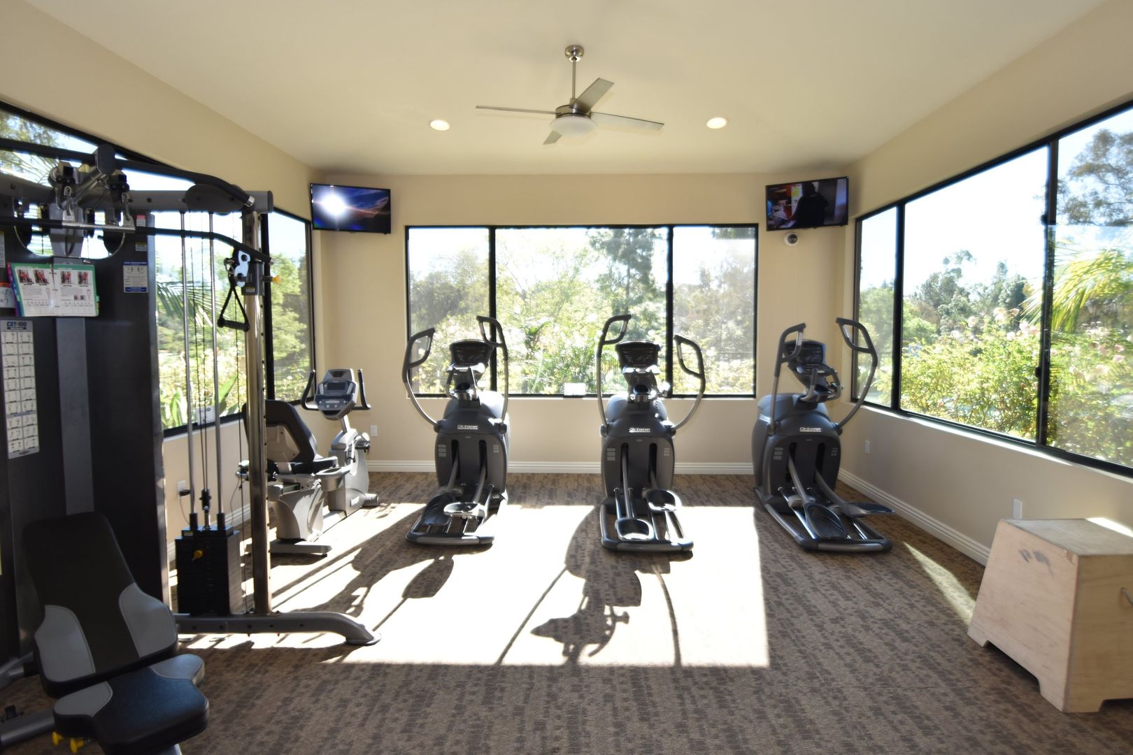 Vista Apartment: 1617 Live Oak Road