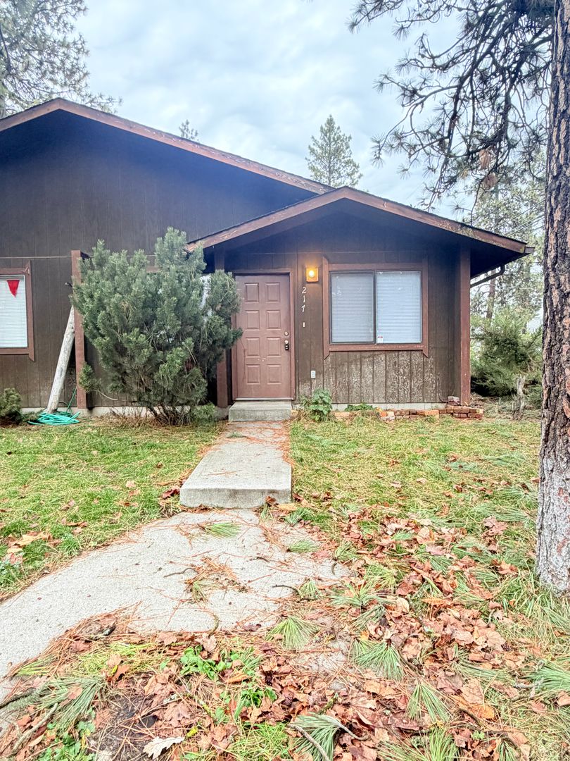 Cheney Apartment: 217 Ash St