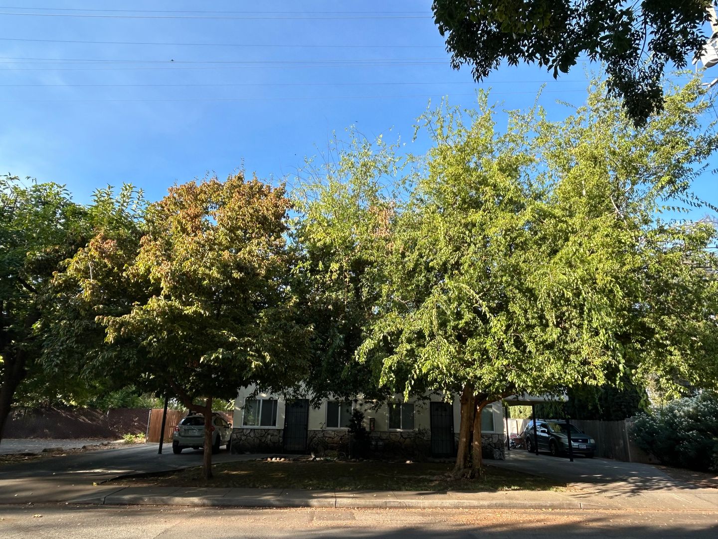 Chico Apartment: 1524 Chestnut Street