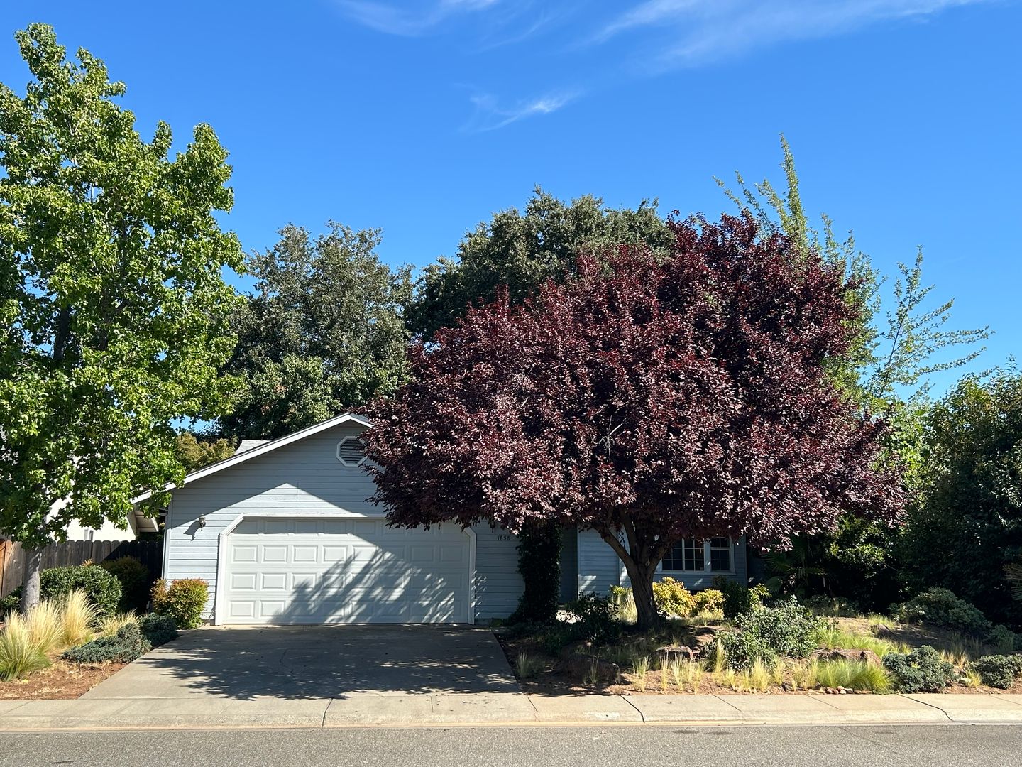 Chico House: 1658 Albion Court