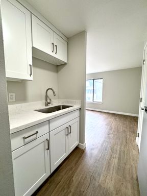 Recently Remodeled Two-Room Studio Plus – photo 1