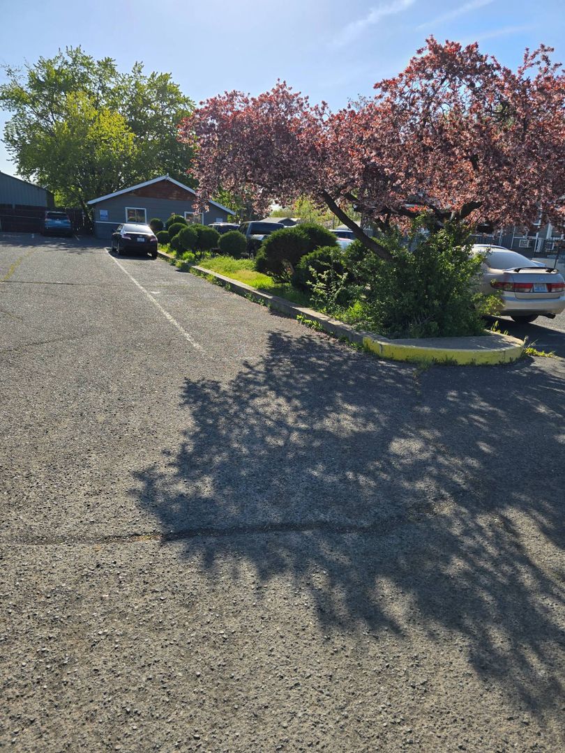 Yakima Apartment: 115 Union Street