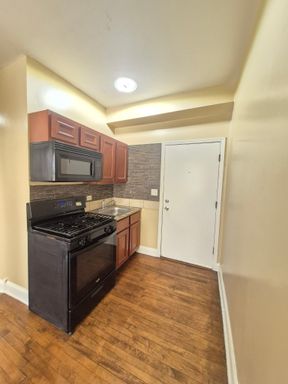 202 N Kenneth Ave, 202-2N, Chicago, IL 60624