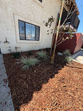 Charming Two-Bedroom One-Bathroom Downstairs Apartment in Santa Paula