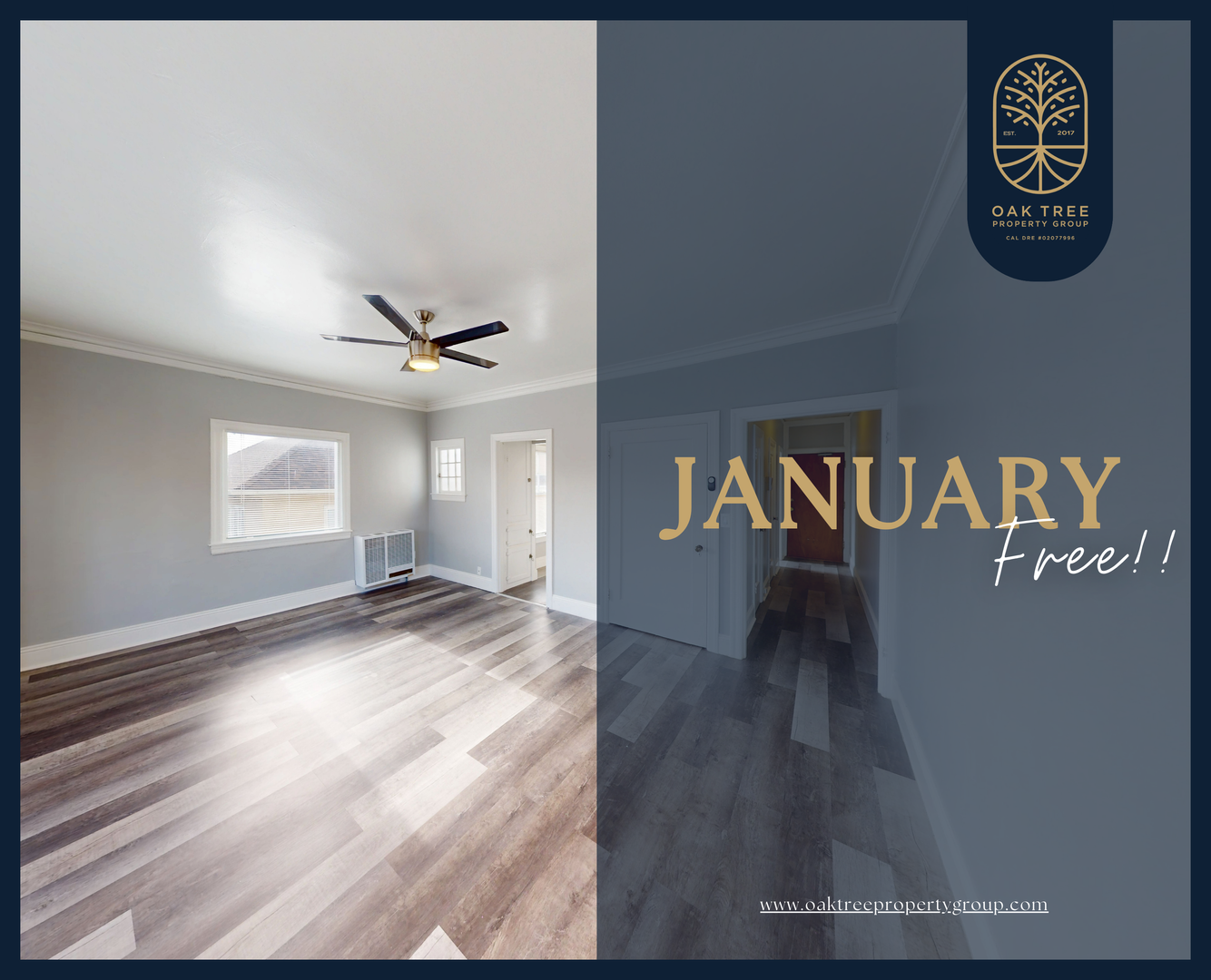 Oakland Apartment: 433 Bellevue Avenue