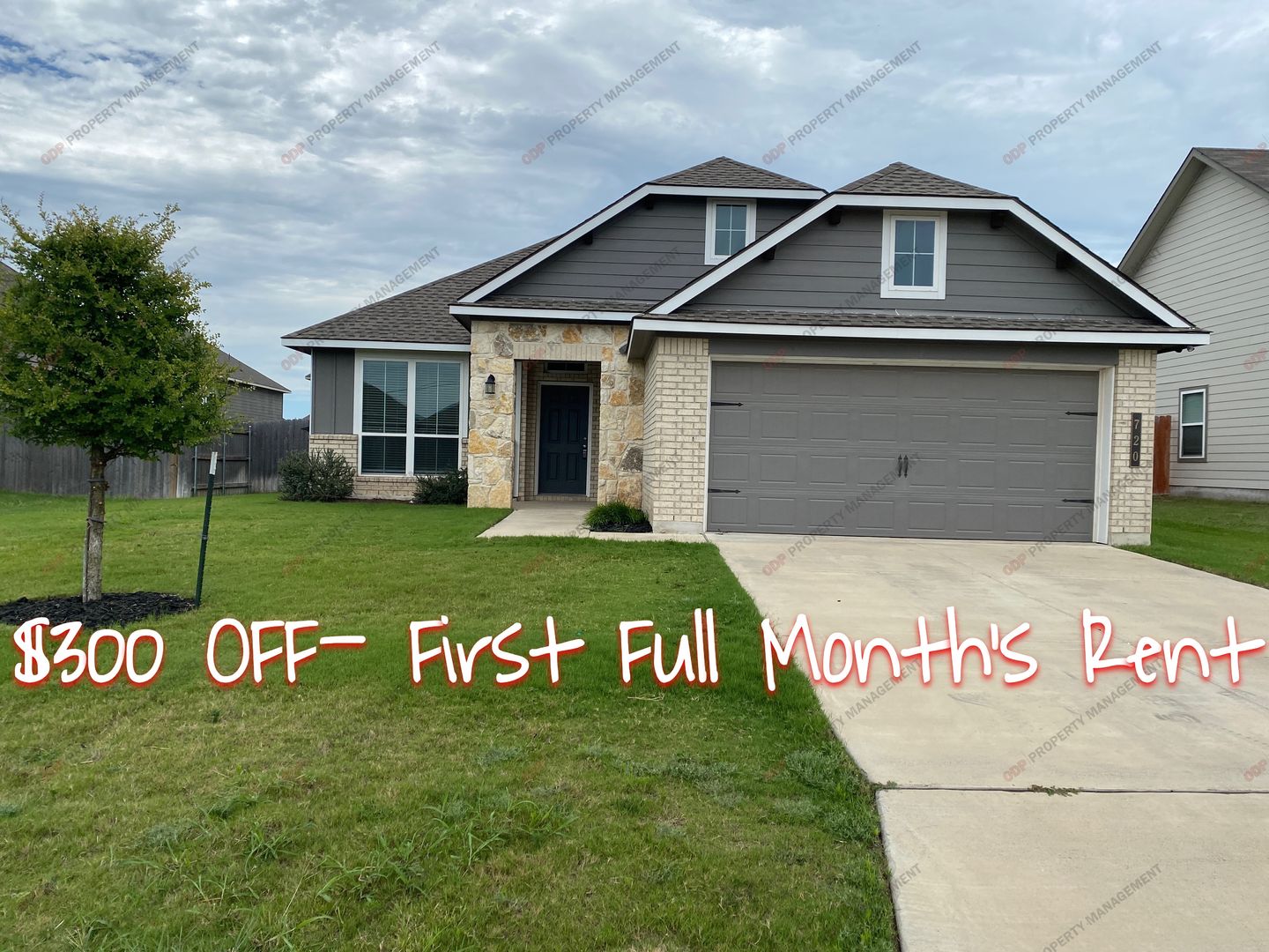 3 Bed|2 Bath- plus Study in Belton ISD - $300 special!