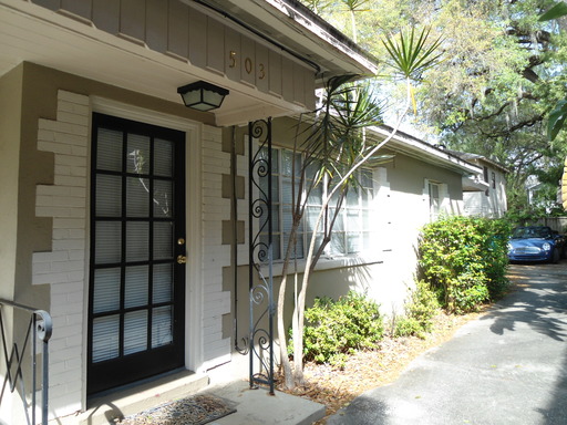 503 E. Amelia Street, Orlando, FL 32803