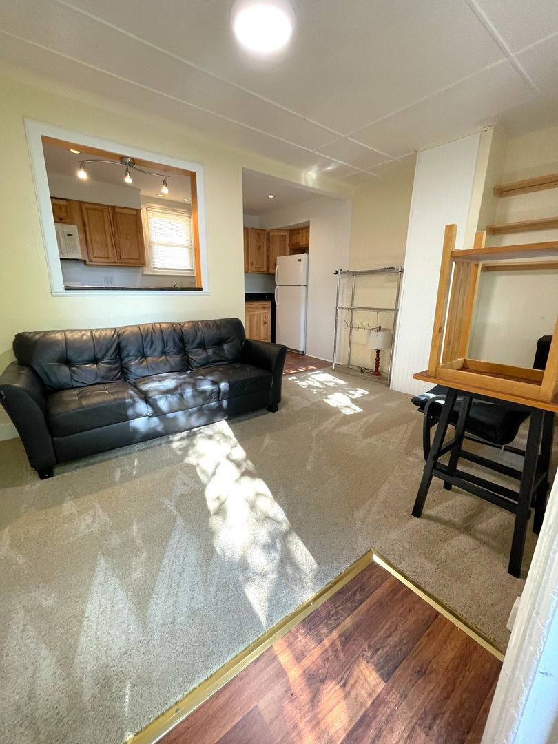 Ann Arbor Apartment: 413 W. Liberty St.