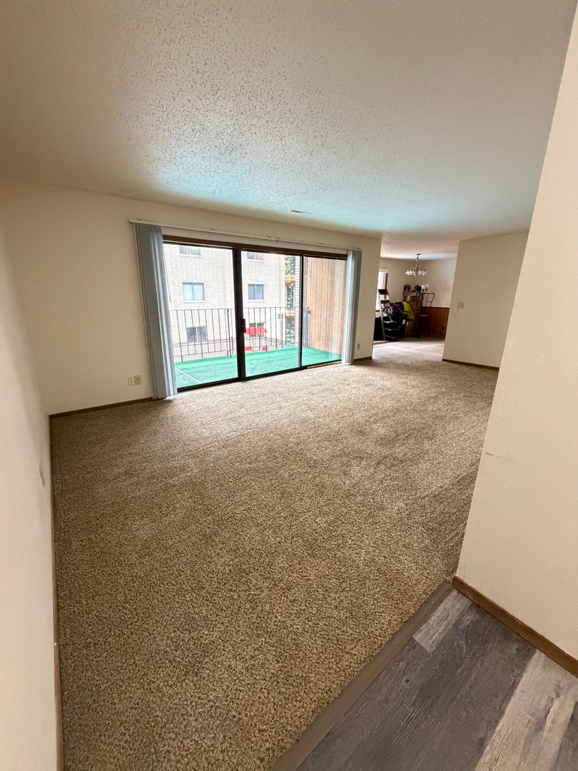 Duluth Apartment: 825 PARTRIDGE STREET