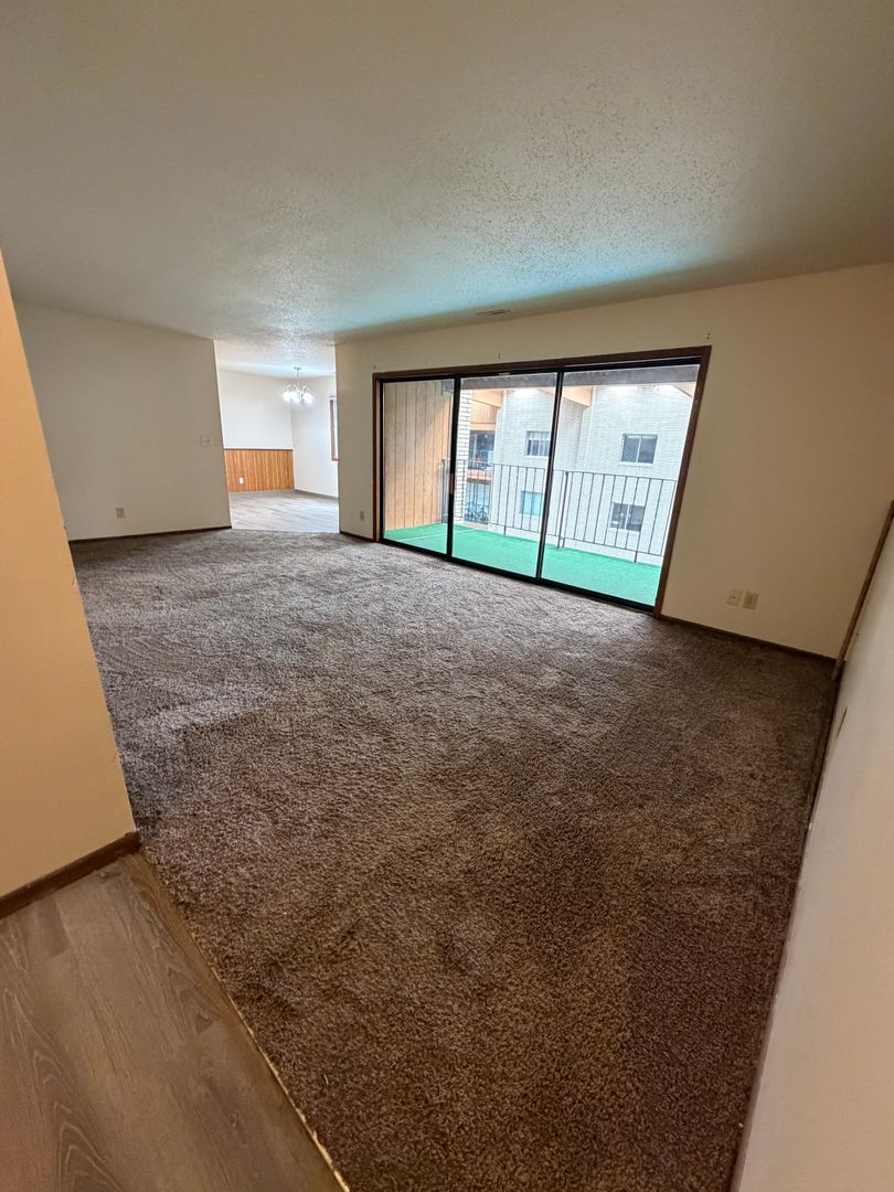 Duluth Apartment: 825 PARTRIDGE STREET