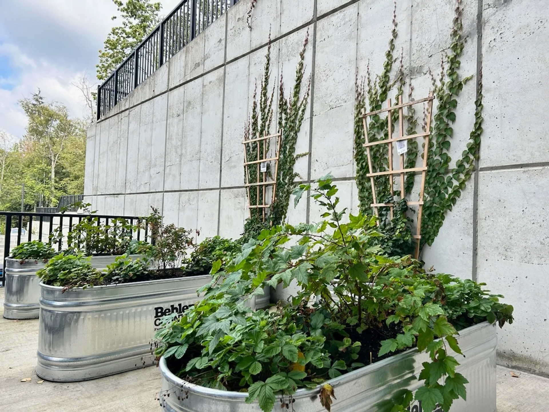 Bellingham Apartment: 3817 Elwood Ave