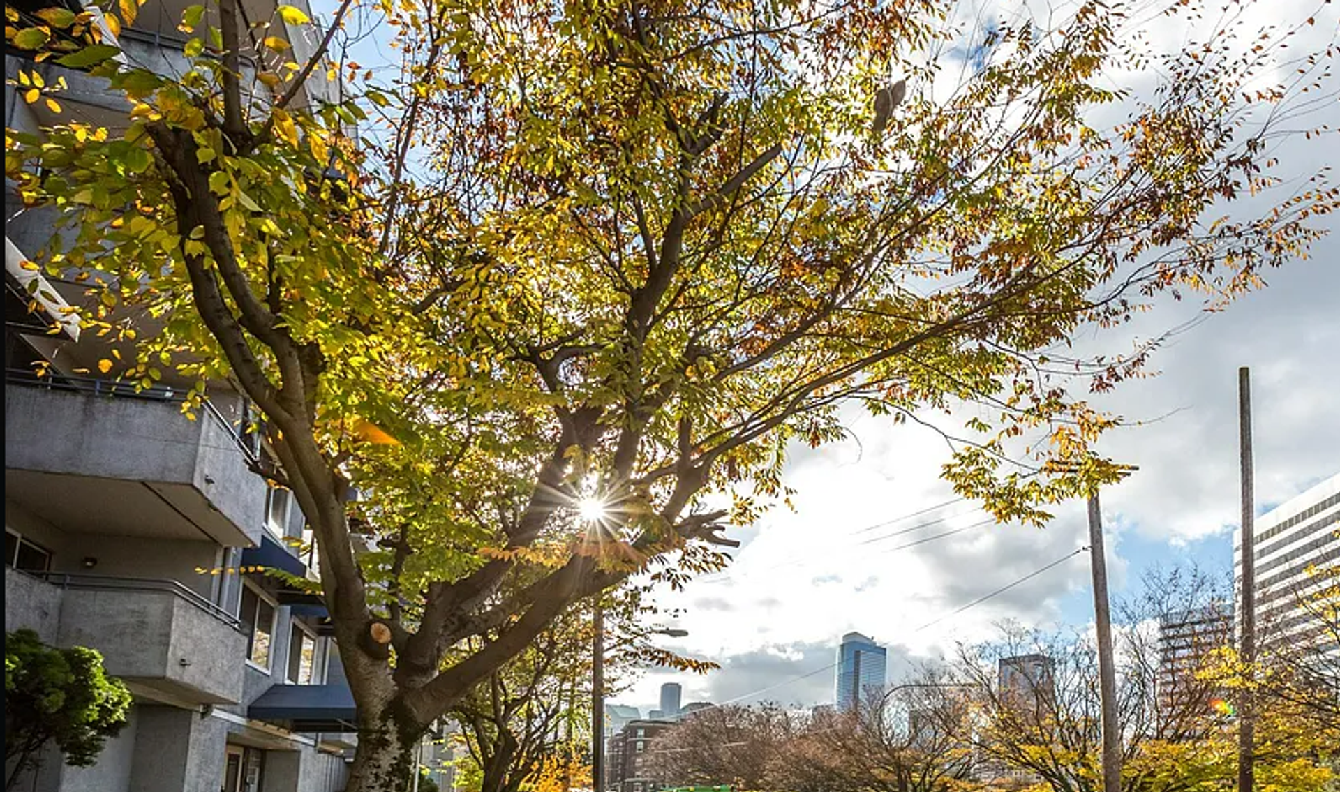 Seattle Apartment: 1718 Melrose Ave - 211