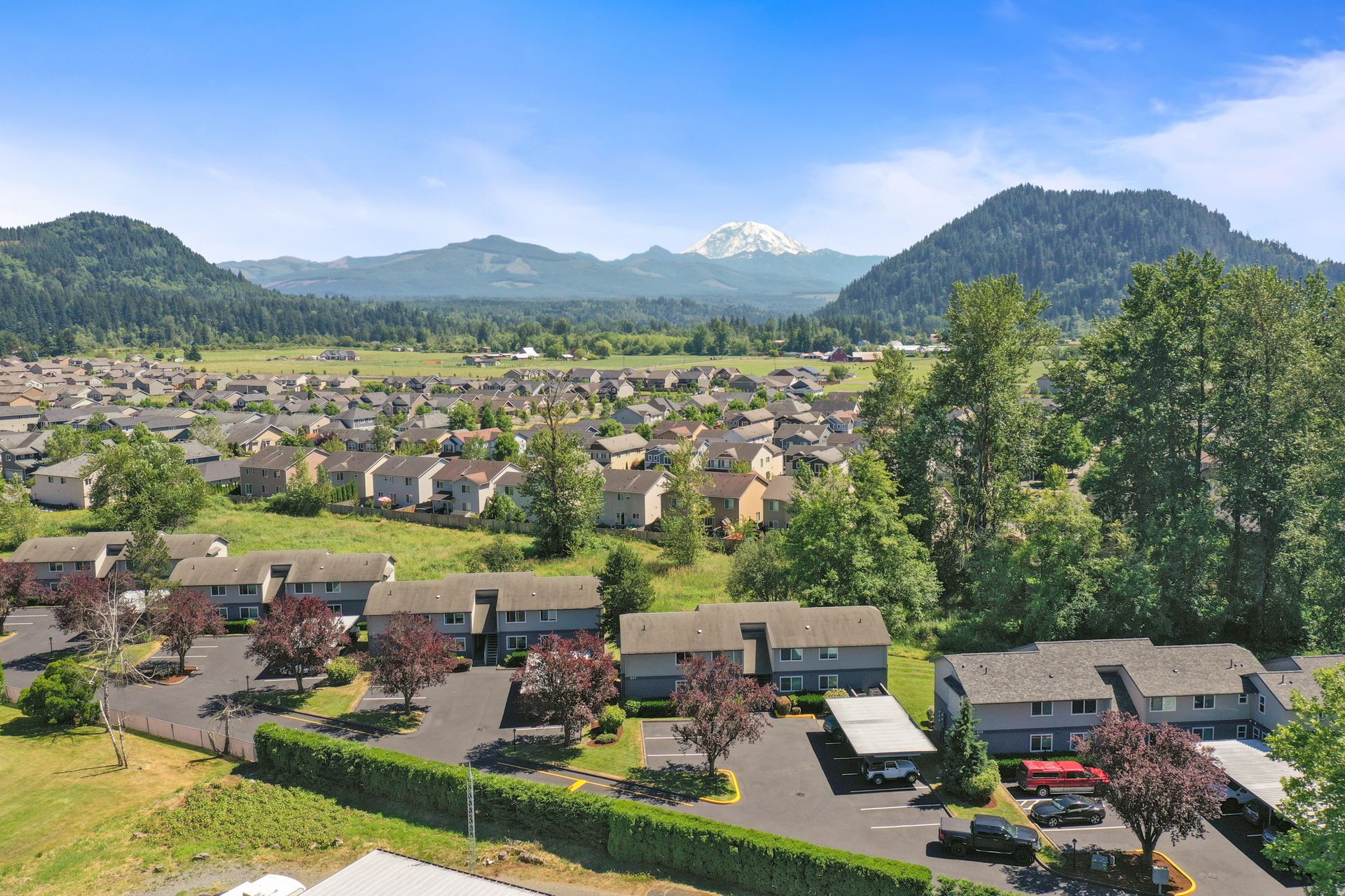 ENUMCLAW Apartment: 615 WATSON ST. N. # E