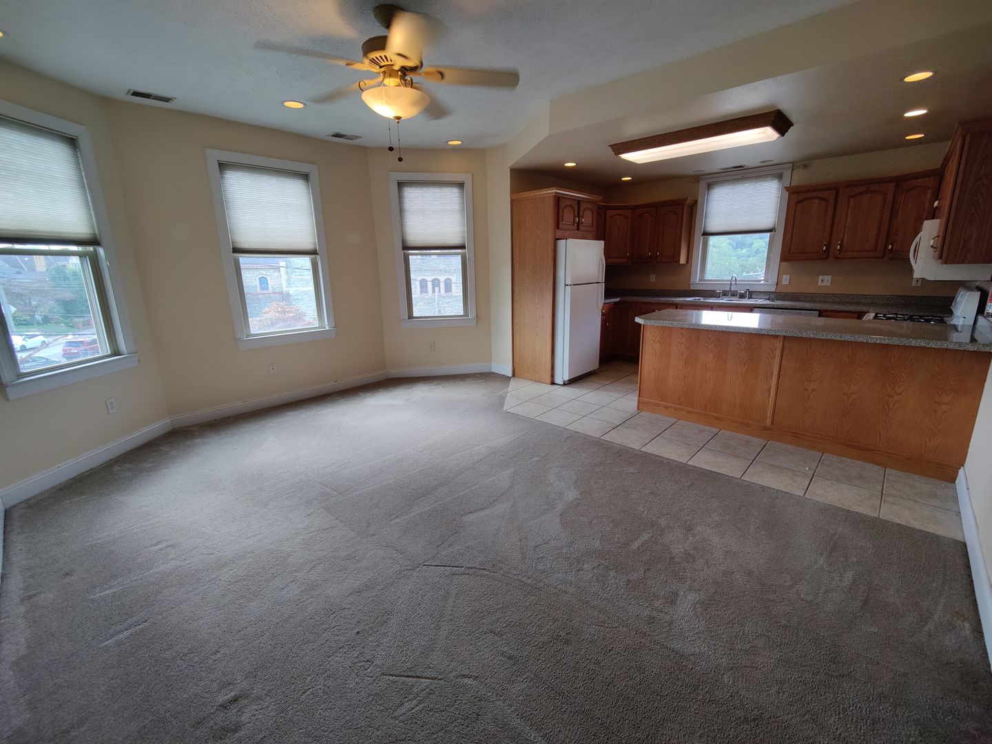 Pittsburgh Apartment: 1003 California Ave