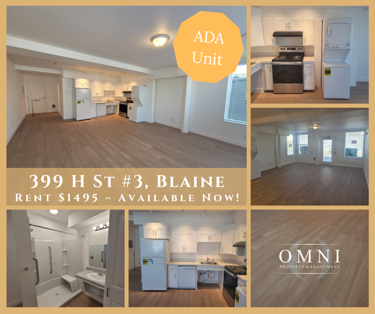 Blaine Townhome: 399 H Street