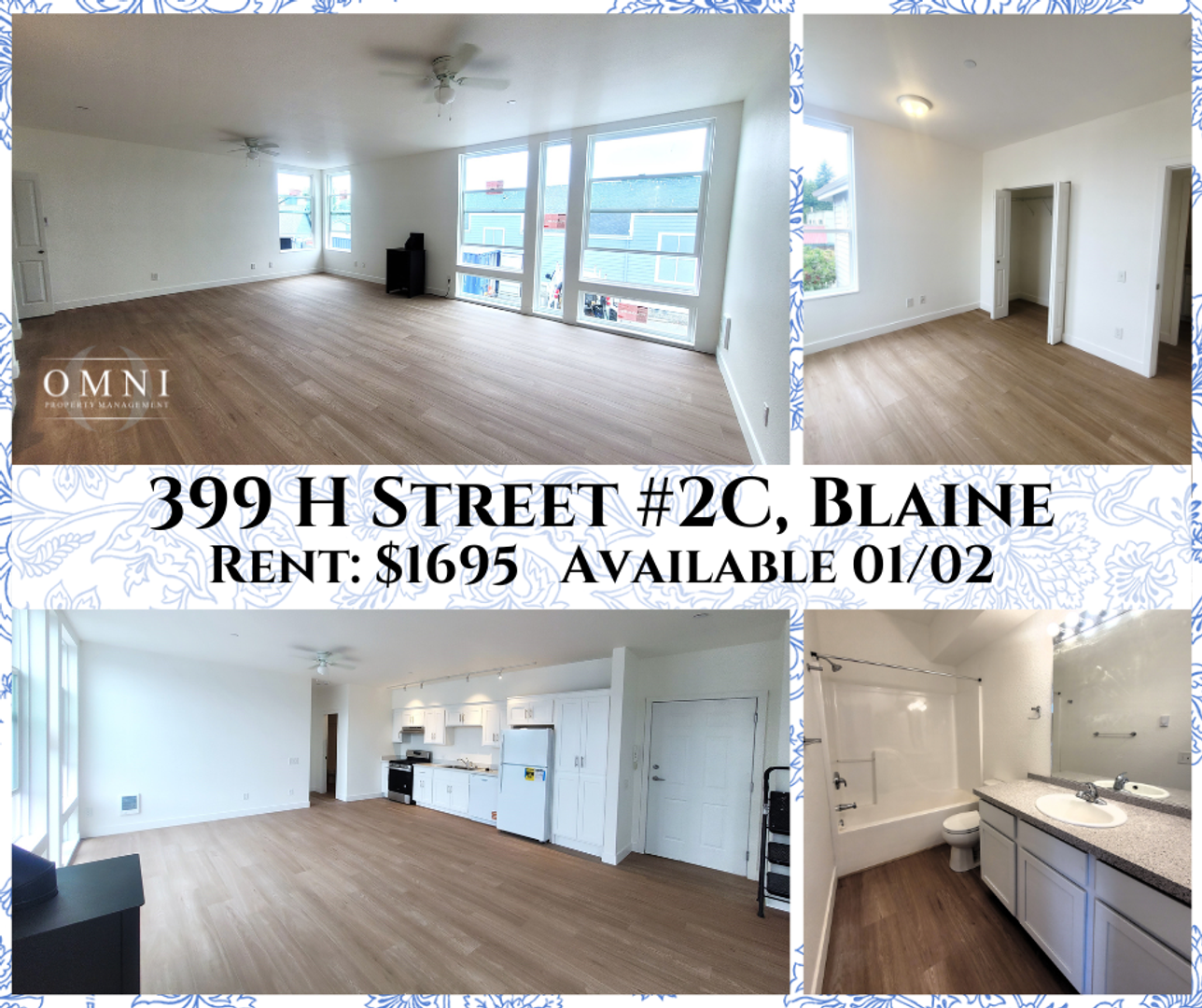 Blaine Townhome: 399 H Street