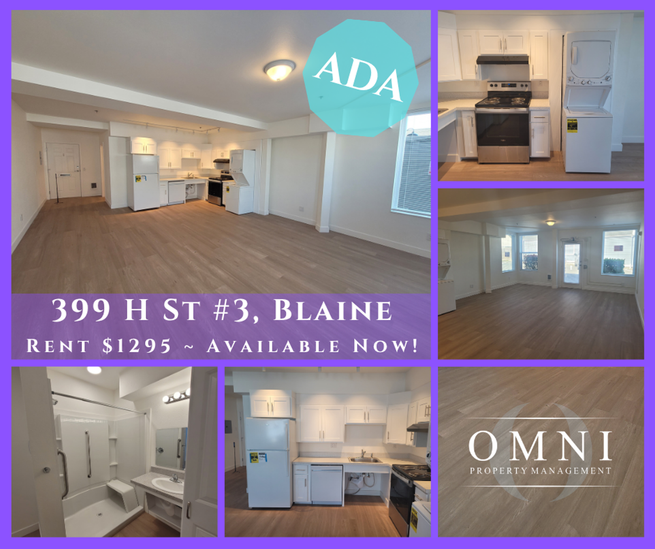 Blaine Townhome: 399 H Street