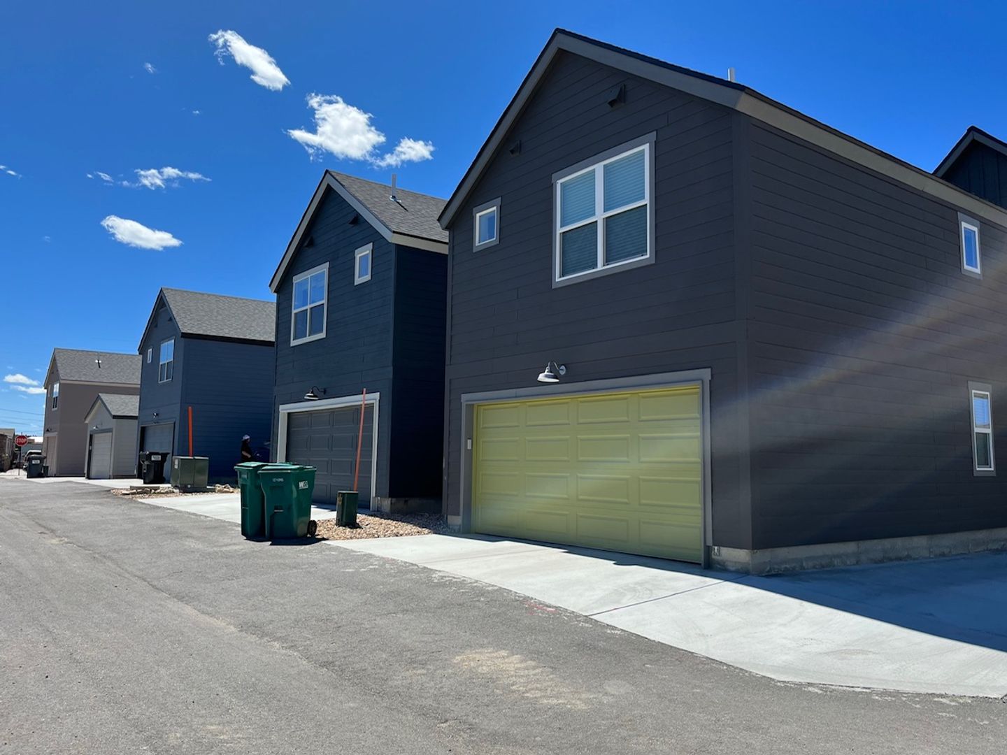 Leadville House: 1210 Mineral Belt Green