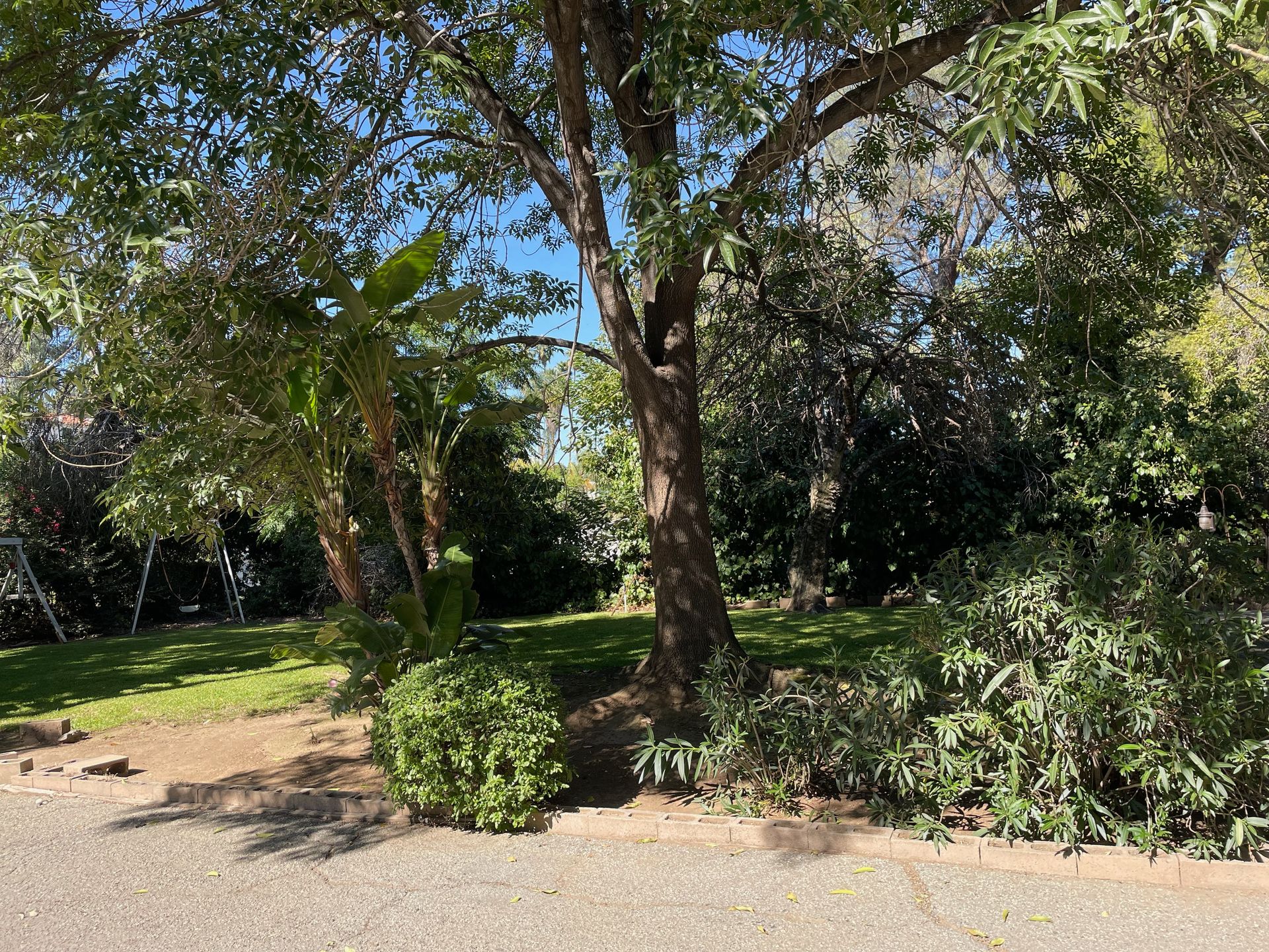 Riverside Multiplex: 5135 Olivewood Ave.