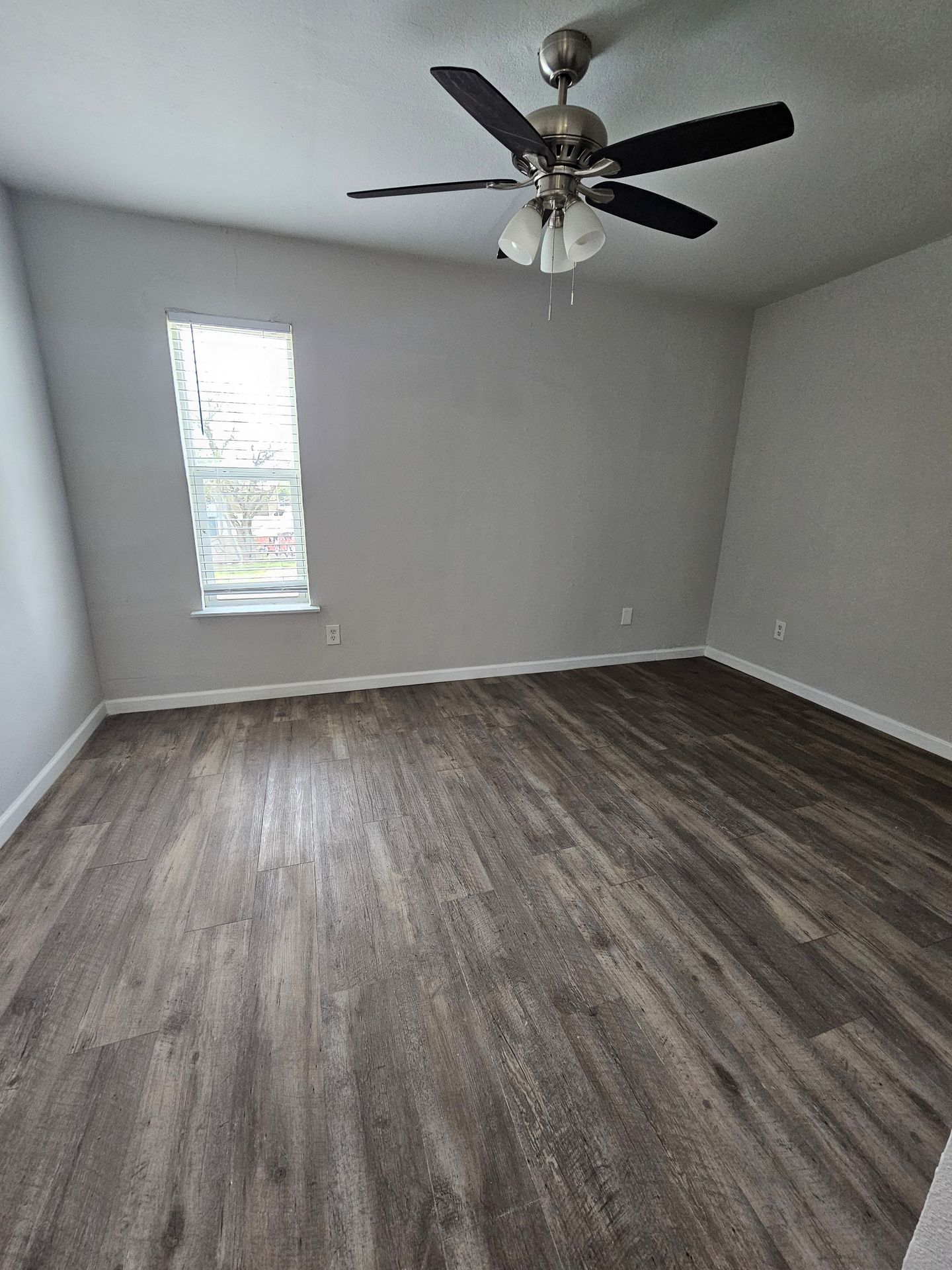 Austin Apartment: 709 Lamar Pl